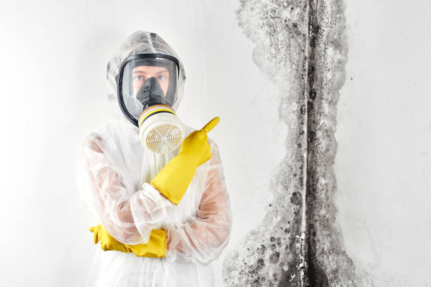 Best Comprehensive Air Testing for Mold Contaminants  in Providence, RI